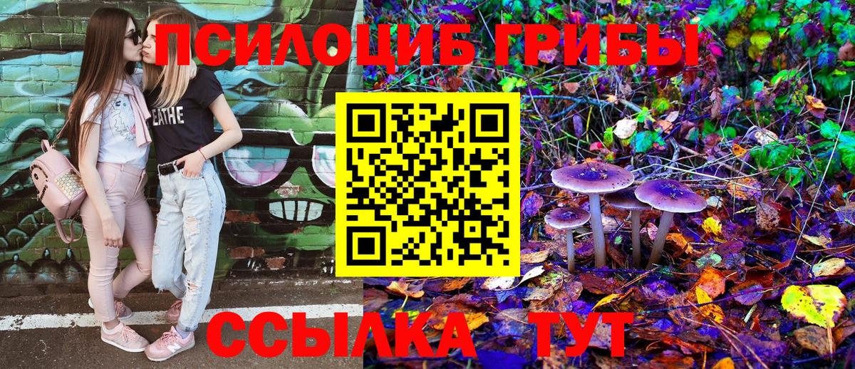 Псилоцибиновые грибы мухоморы Лянтор